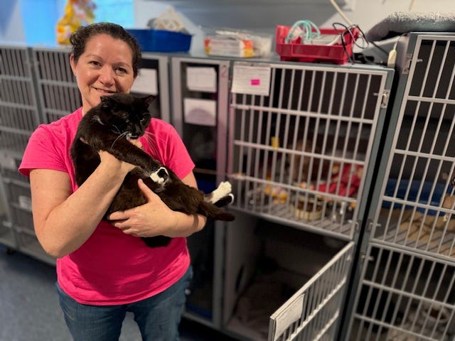 Barb Weber said she's a nurse by trade and "always attracted cats." In 2014, she turned her passion for caregiving into Barb's Precious Rescue.