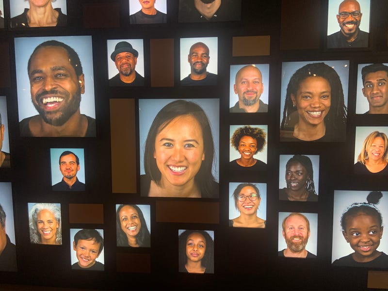 A section of the exhibit explores human skin and its coloration, from both scientific and social perspectives.