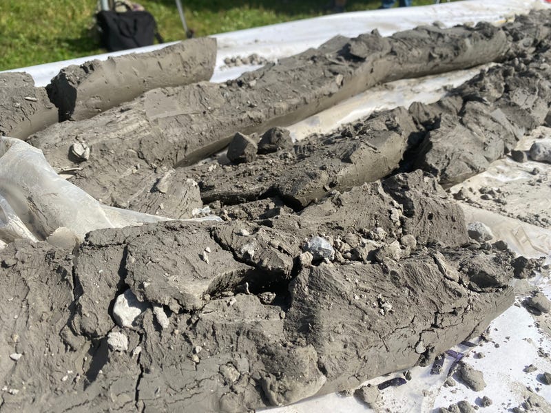 Soil