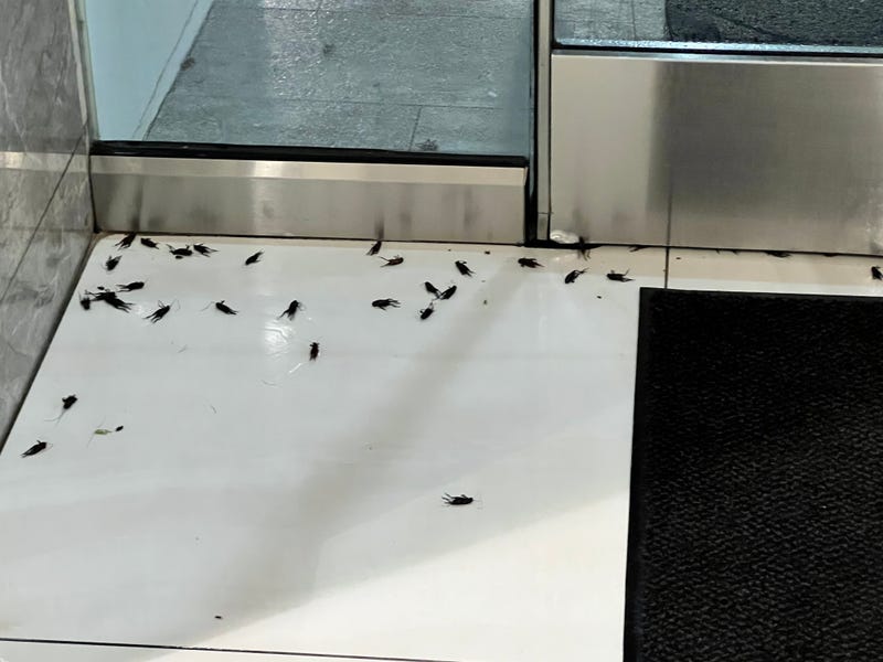 Joe Kelley/ KRLD News