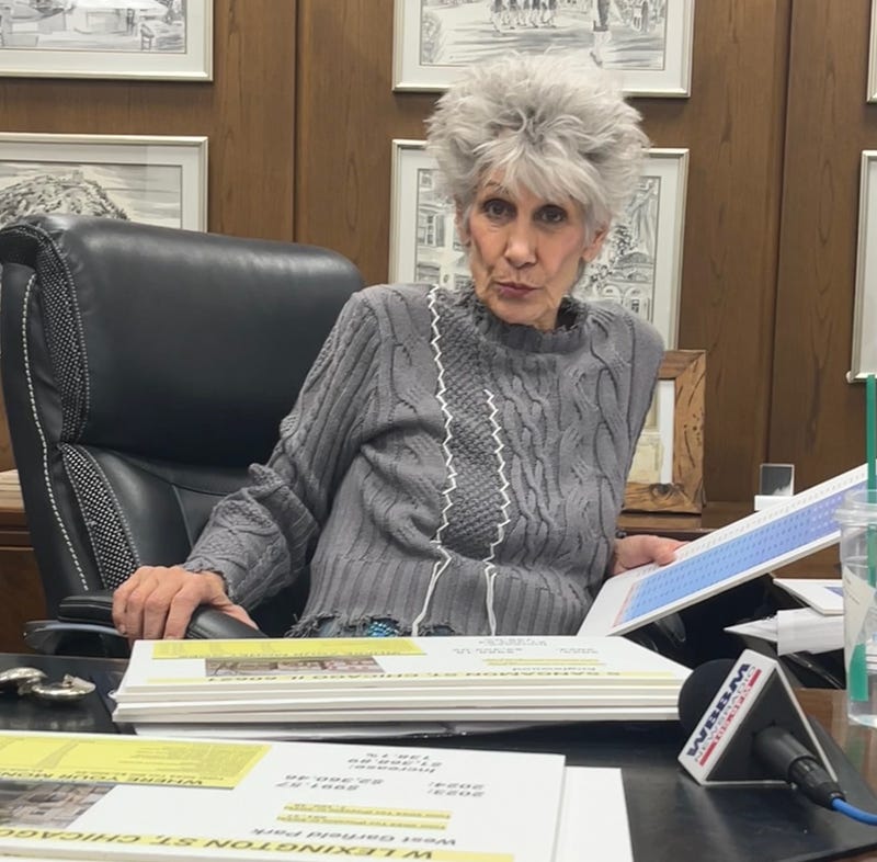Cook County Treasurer Maria Pappas goes through examples of homes with high property tax increases during an interview in her office, November 14, 2025.