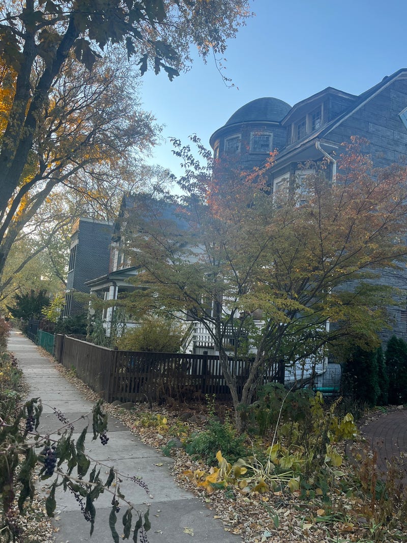 Houses on Chicago's North side.