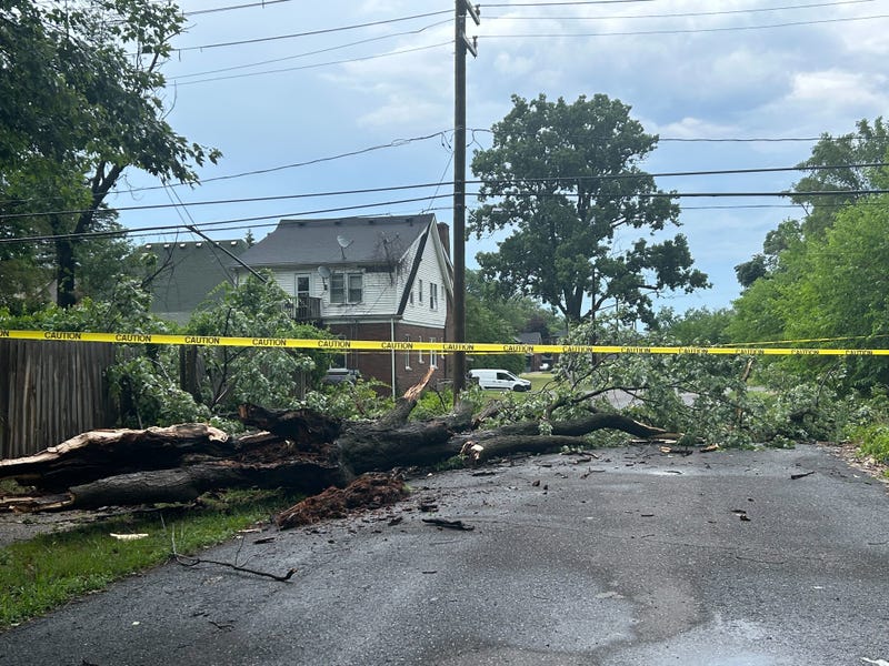 Trees down on Woodingham near the Lodge Freeway in Detroit