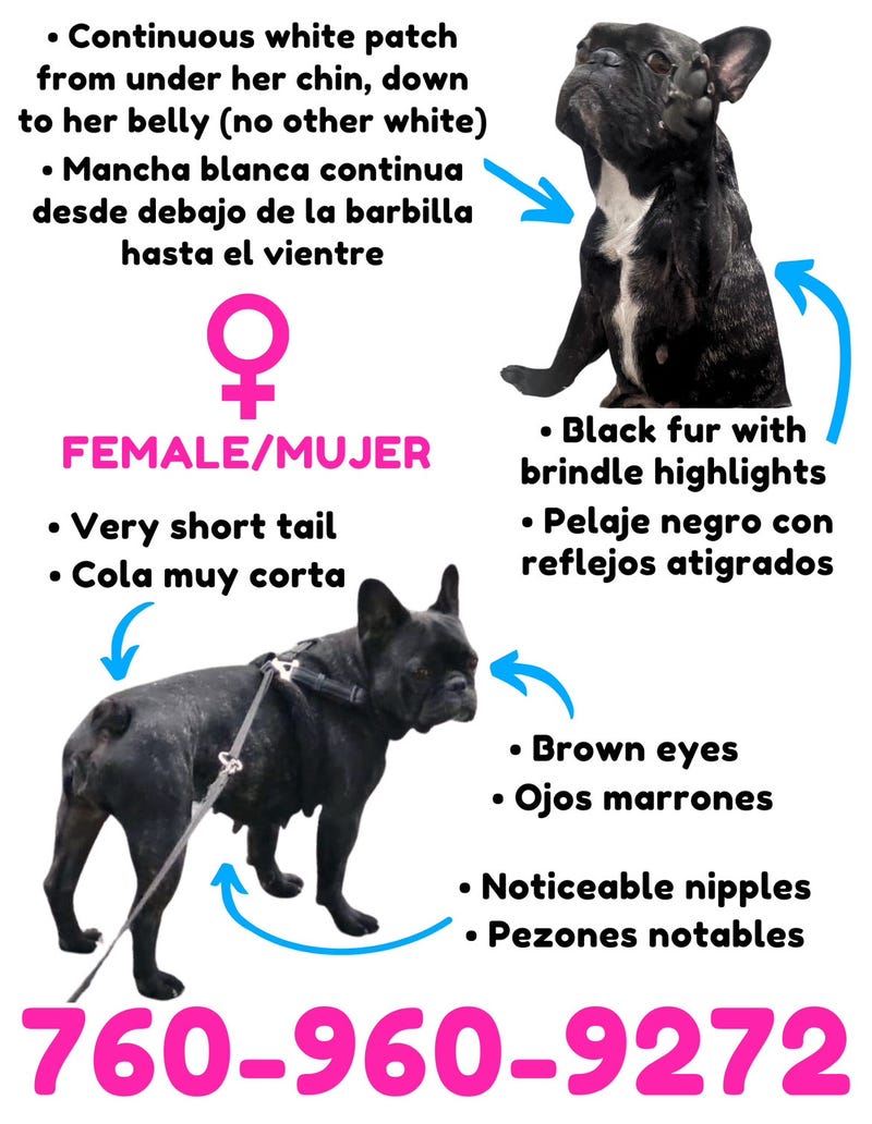 Mushie info