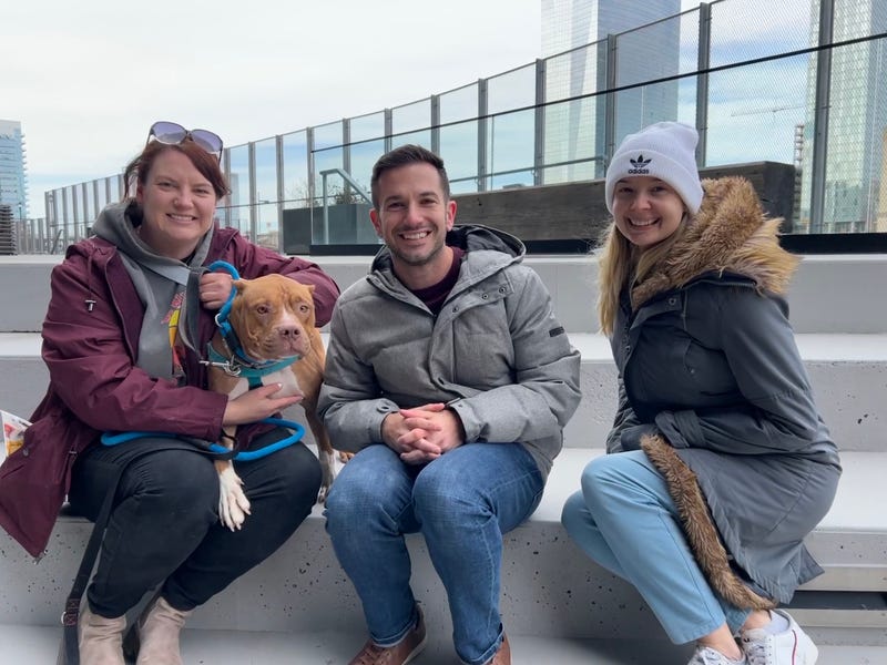 Meet Legacy, Bennett & Raven's PSPCA Pet of the Week