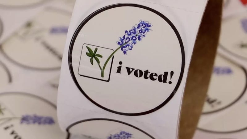 I Voted Sticker