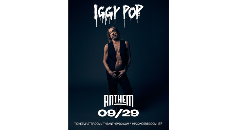 Iggy Pop art