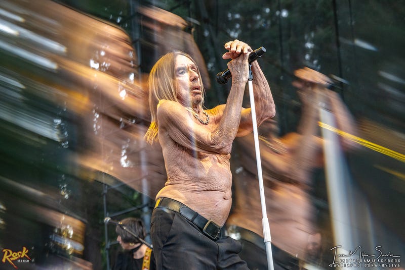 Iggy Pop - Marymoor Park - Redmond, WA 7.28.25