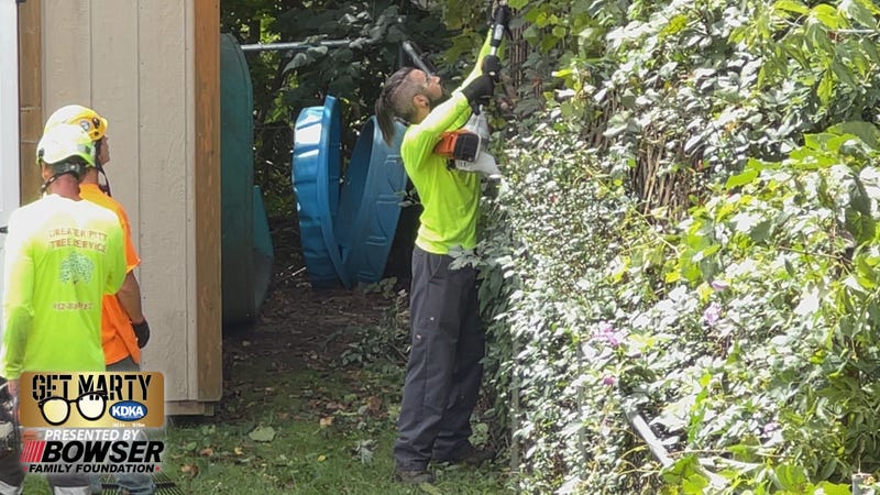 Greater Pitt Tree Service crews started clearing from the neighbor's yard.