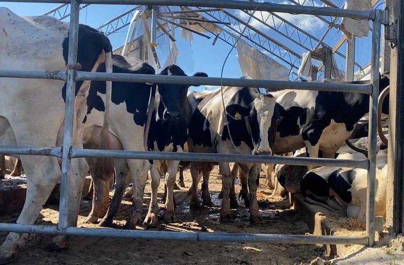 Wellacrest Farms
