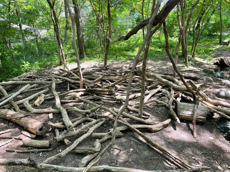 Wood Lake
