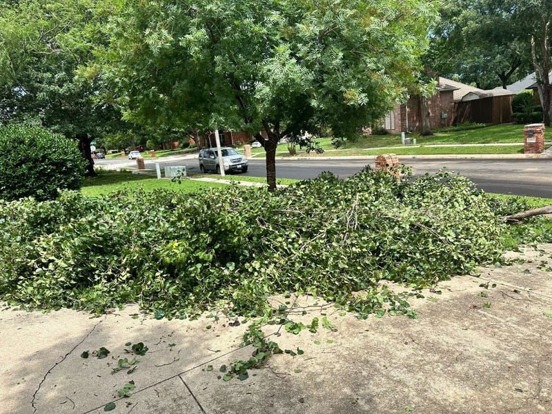 storm impact