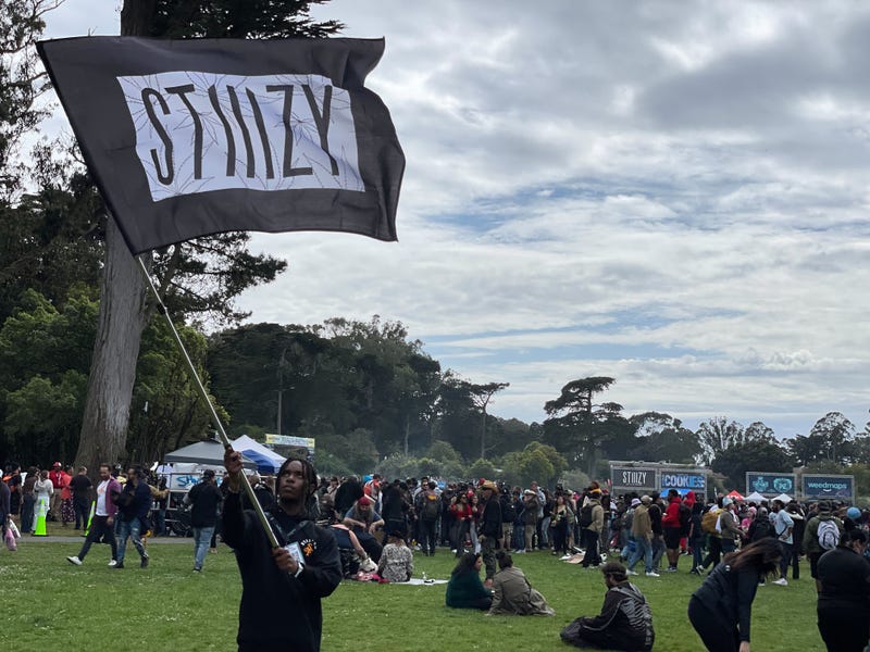 San Francisco’s “4/20” celebration at Hippie Hill has kicked off Wednesday with music, Mike Tyson and legal cannabis sales.