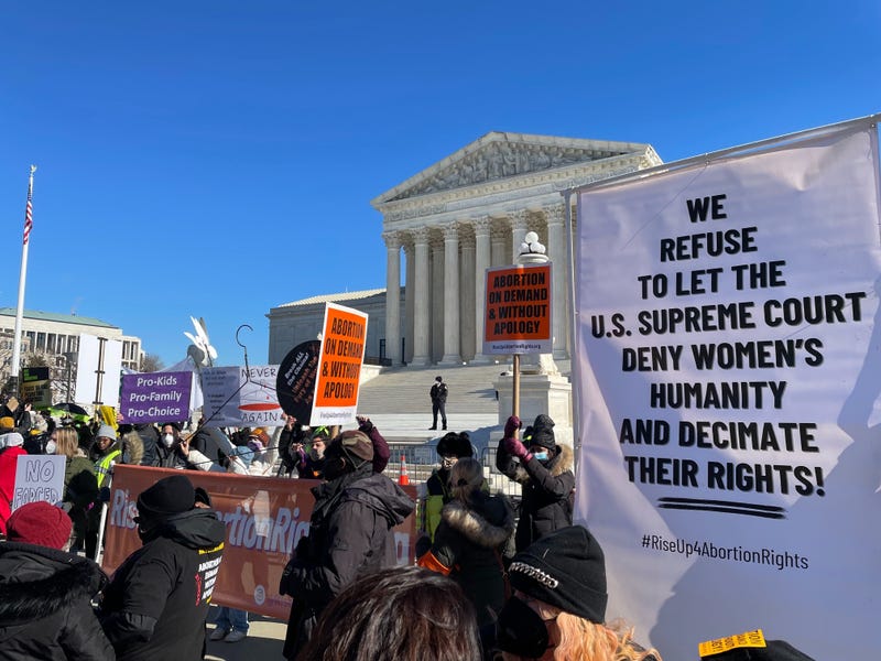 Abortion rights activists gather in Washington D.C. for the Rise Up 4 Abortion Rights march.