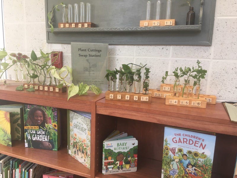 Part of the Chestnut Hill Free Library Plant Exchange.