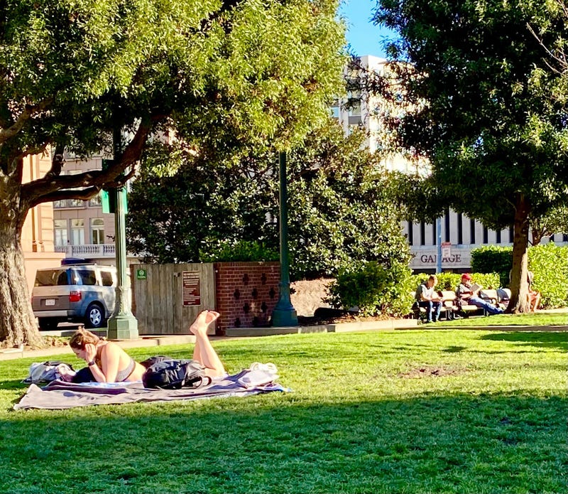 People sunbathing in Huntington Park in San Francisco’s Nob Hill neighborhood in the month of February.