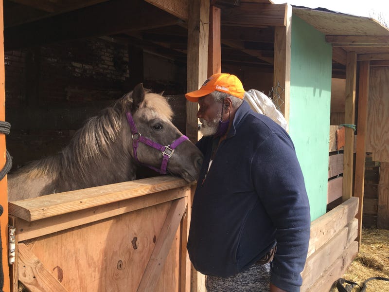 Ellis Ferrell, founder of the Fletcher Street Riding Club, tends to one of his horses. Ferrell said donations for the club have tripled since the release of the Netflix movie "Concrete Cowboy."