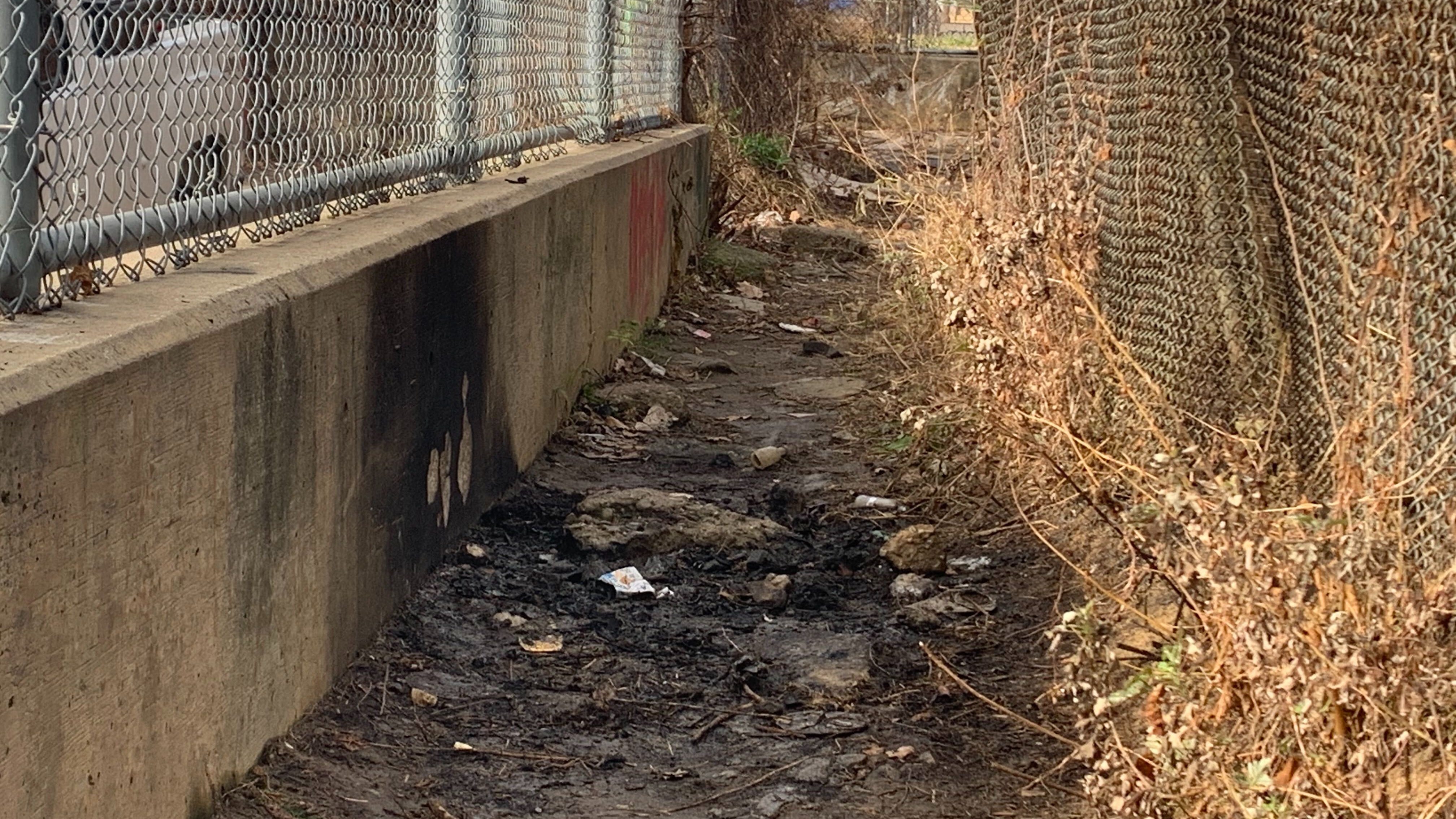 Police work to identify body of woman set on fire near Olney school