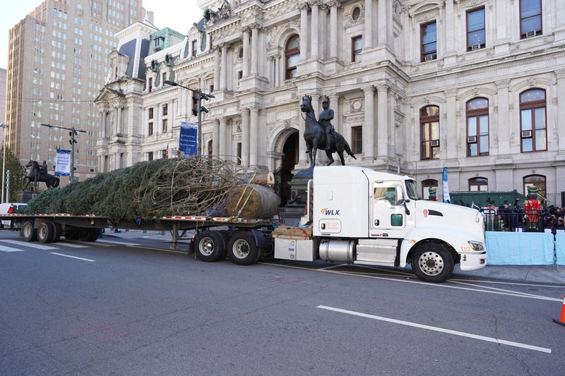 Holiday tree arrives at City Hall