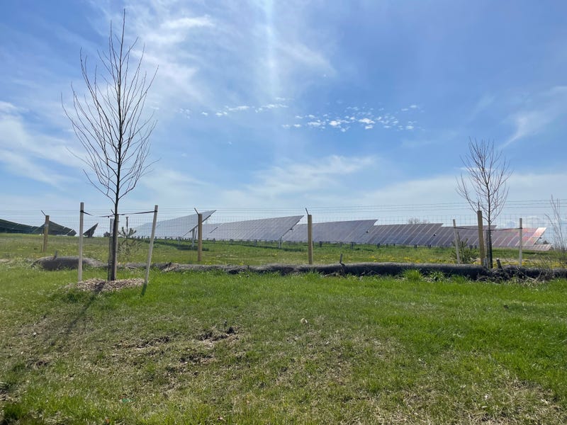 Solar farm