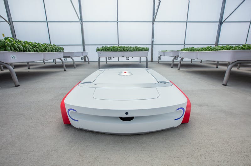 Iron Ox is optimistic about its growth, with big sustainability goals – and even a robot – on full display during KCBS Radio's visit to its grenhouse earlier this week.