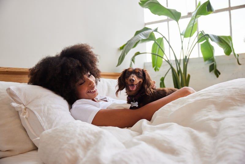 Is Your Pet Good for Your Heart? | Bee Well