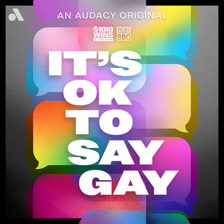 link to It's OK to Say Gay