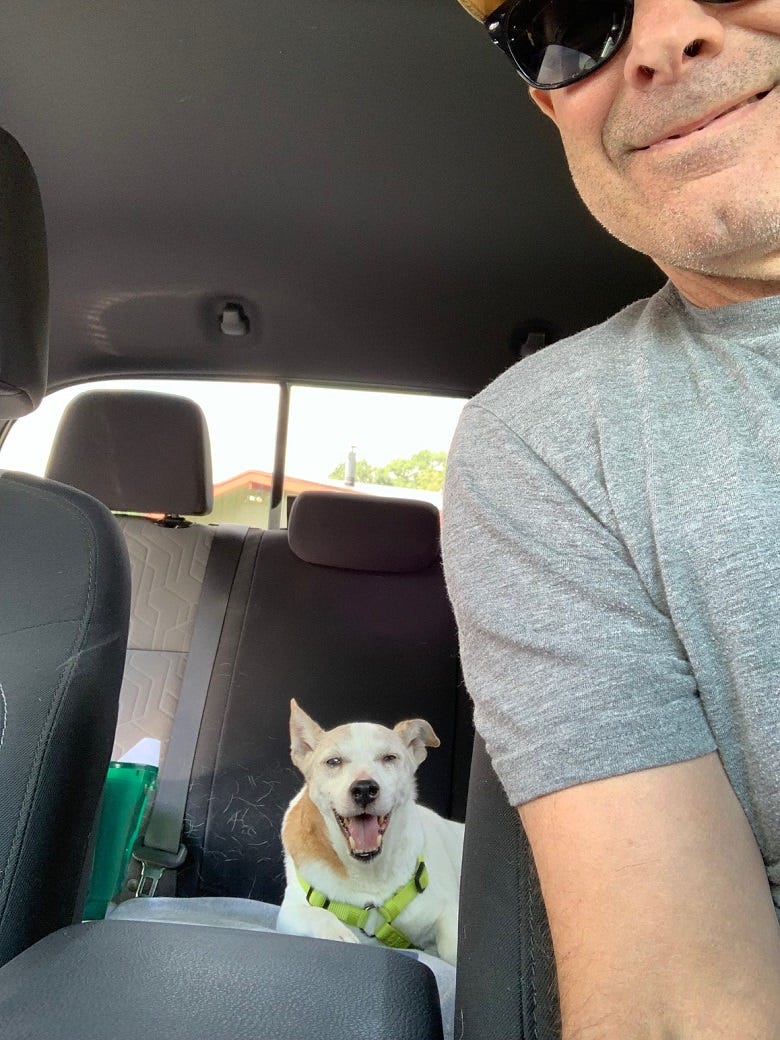 Jackson in Rock's backseat
