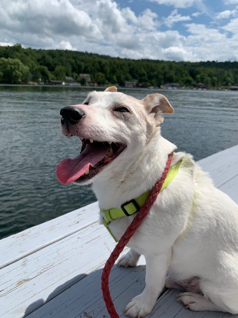Jackson at Harvey's Lake