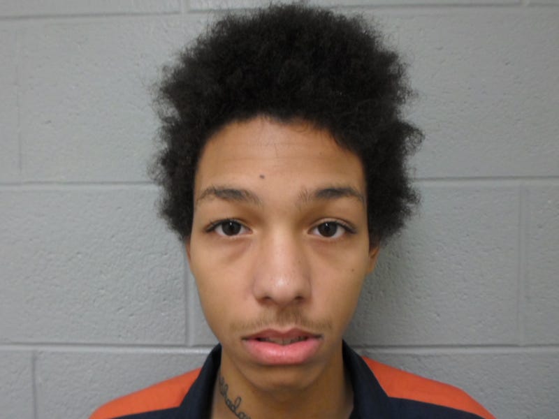 JAYLEN LEE ROBINSON