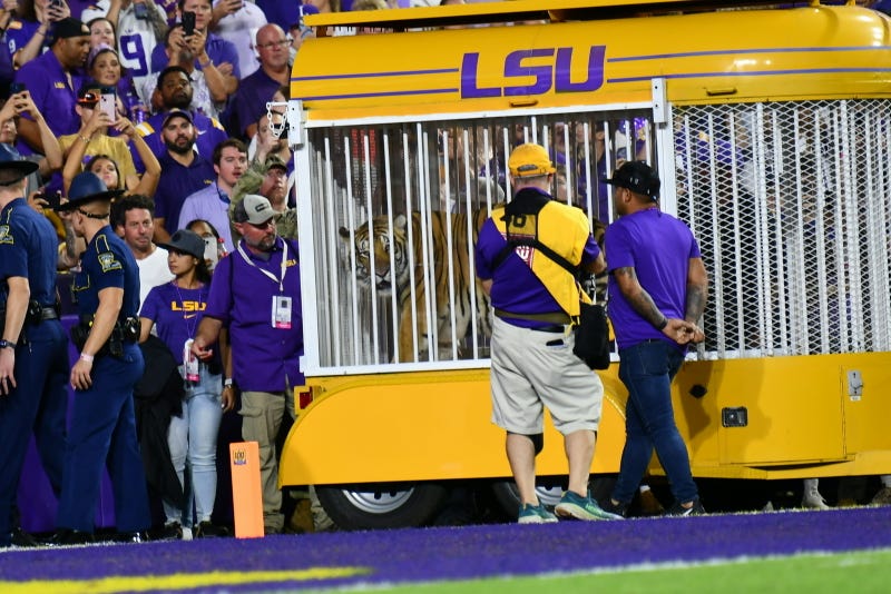 LSU
