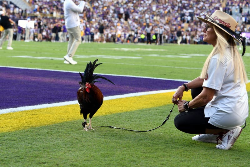 LSU beats South Carolina