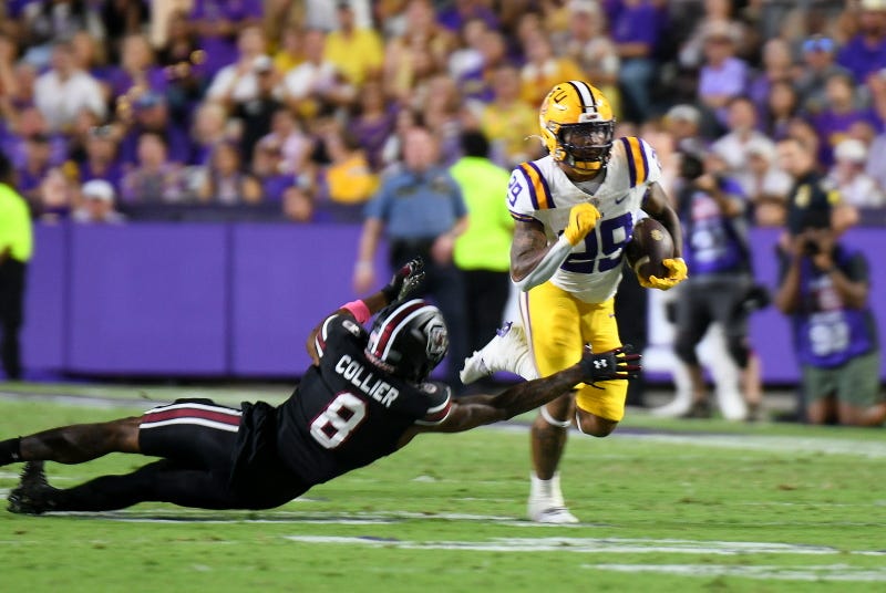 LSU beats South Carolina