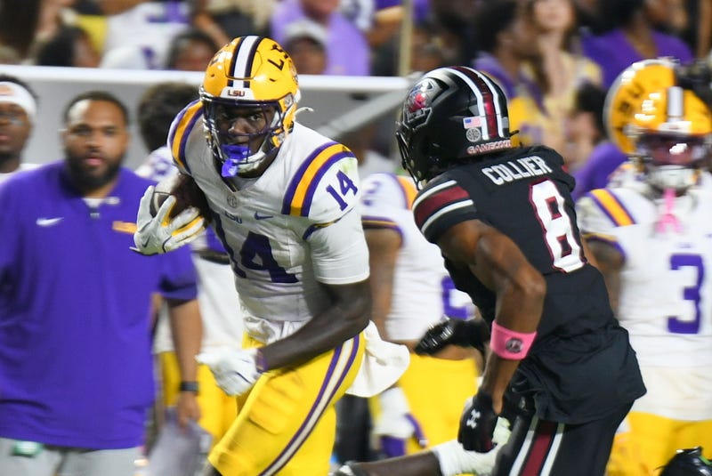 LSU beats South Carolina