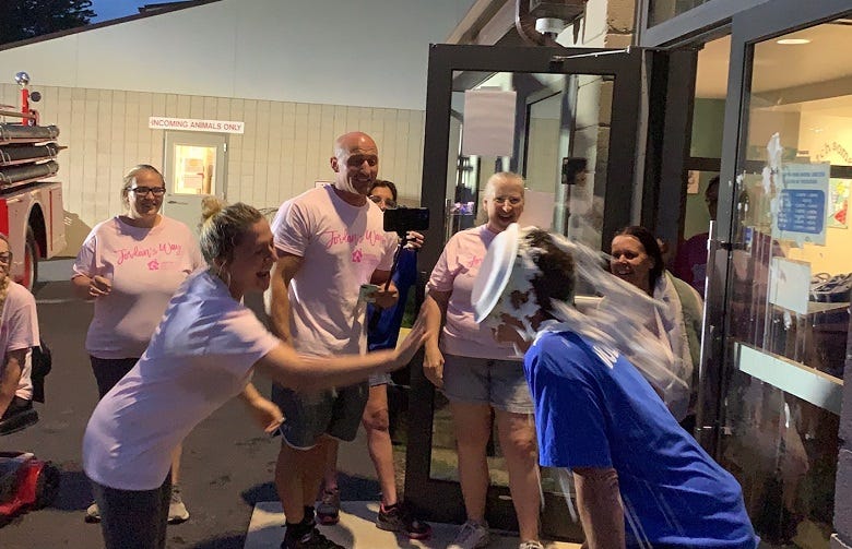 Rock gets pie in face