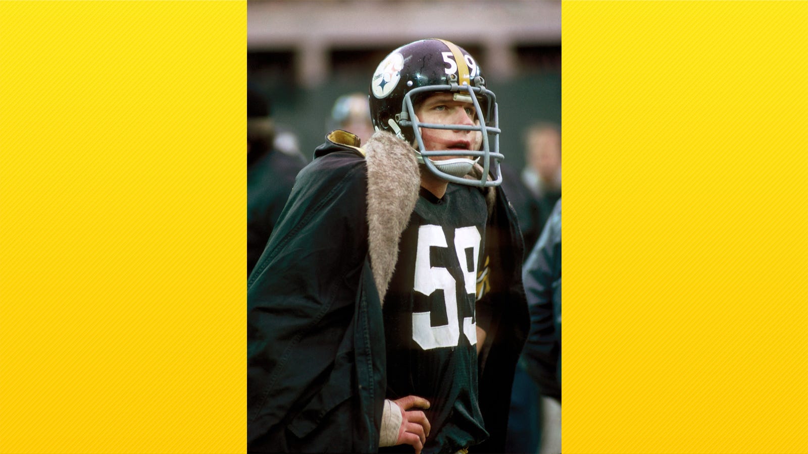 Whaley: Jack Ham would be a backup special teamer in today's NFL