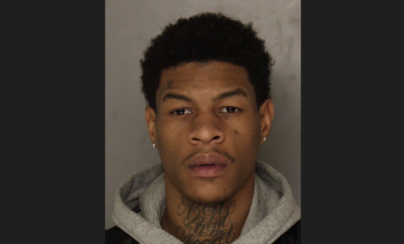 James Lee-Livingston