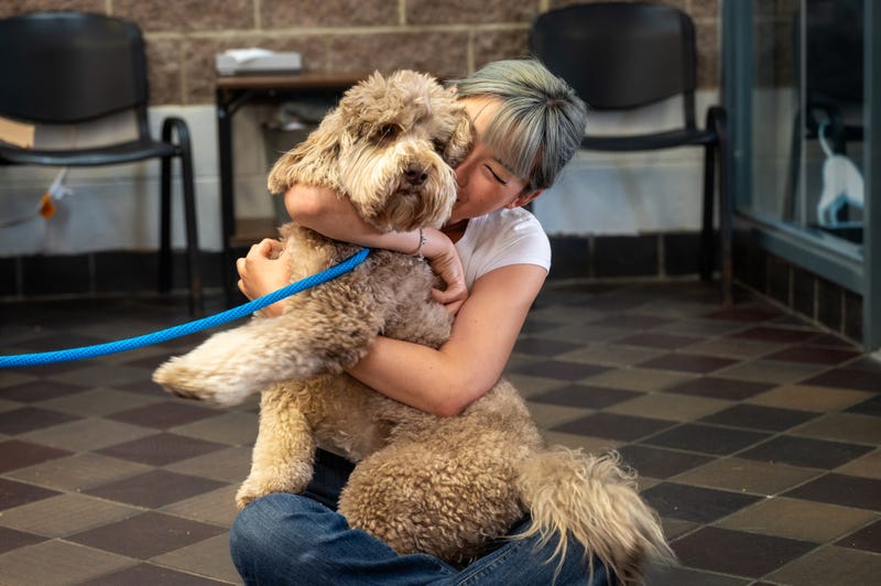 ACC is looking for short-term foster homes for large dogs during the last weeks of July to help lighten the load of the animals' move from Brooklyn to a new Queens facility.