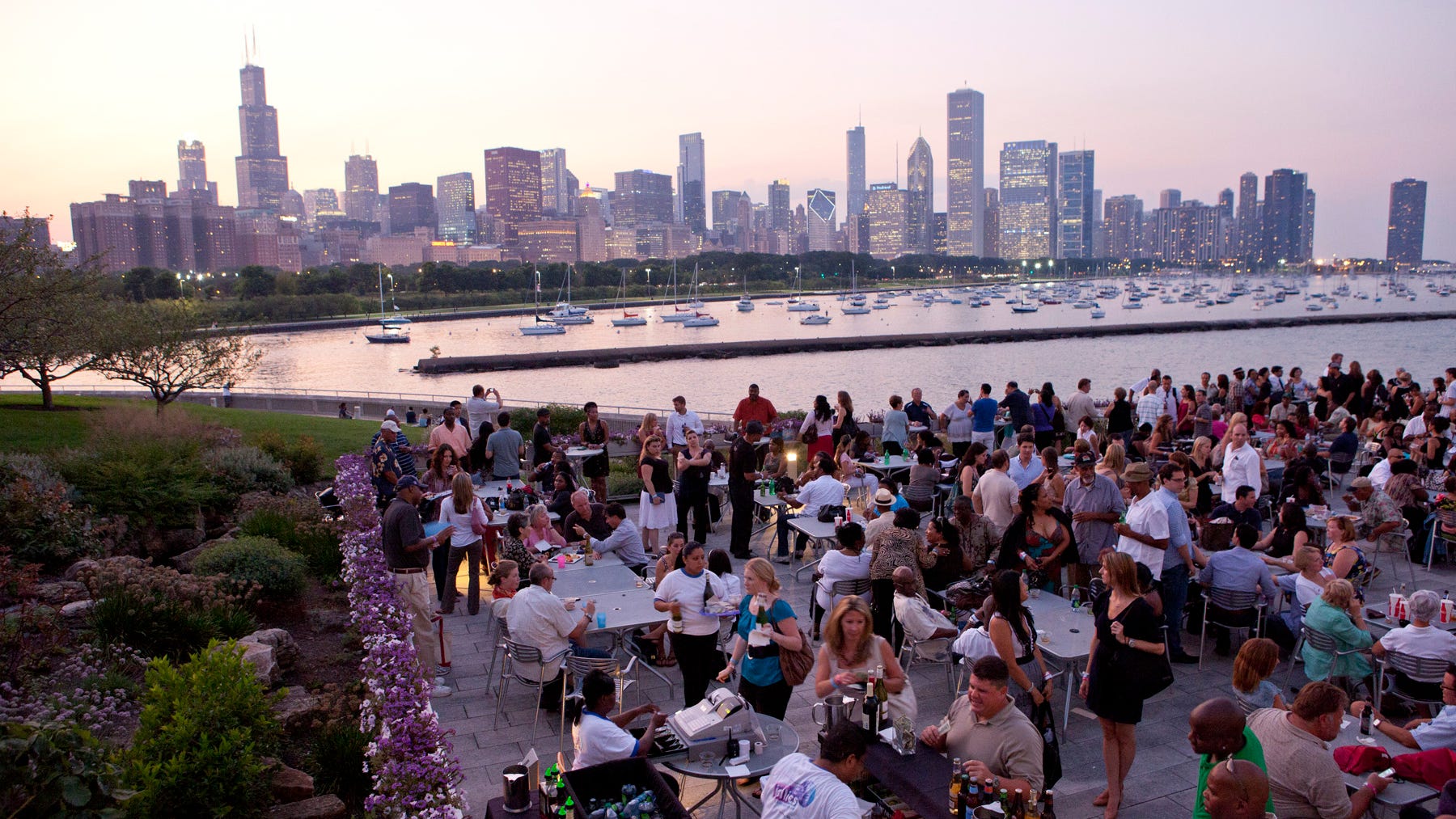 Jazzin’ at the Shedd returns for 5 evenings of live music, aquatic animals