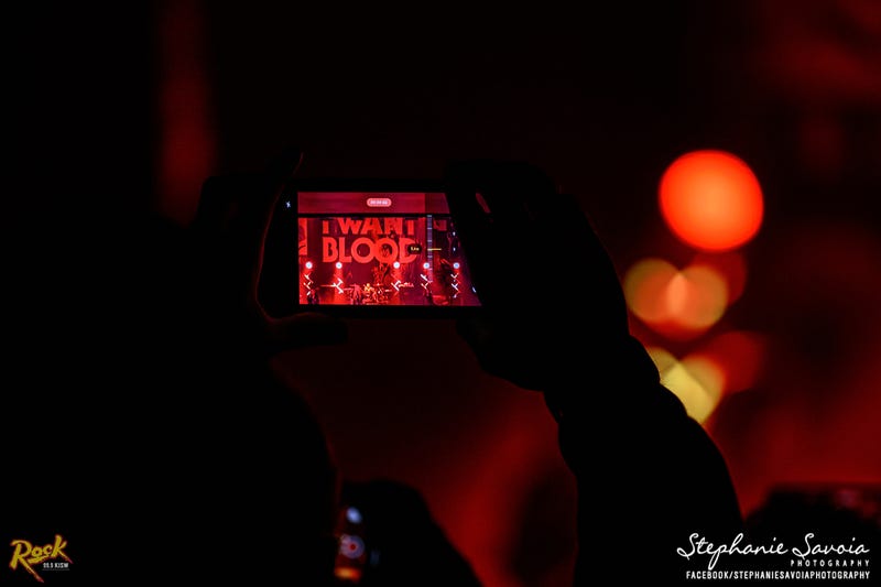 Stephanie Savoia Photography