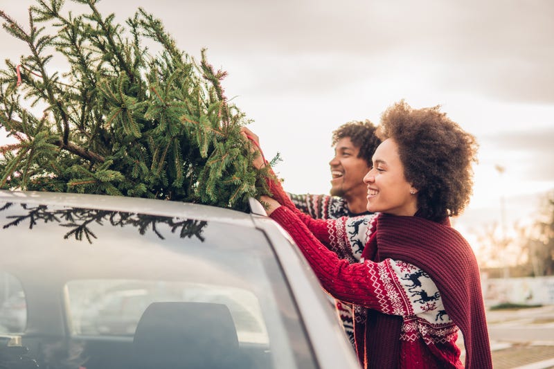Jingle All the Way to Healthy Holiday Travels | Bee Well