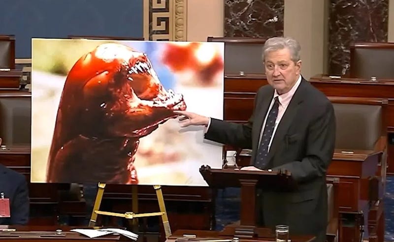 Kennedy tells U.S. Senate radioactive shrimp will turn you into an 'Alien'