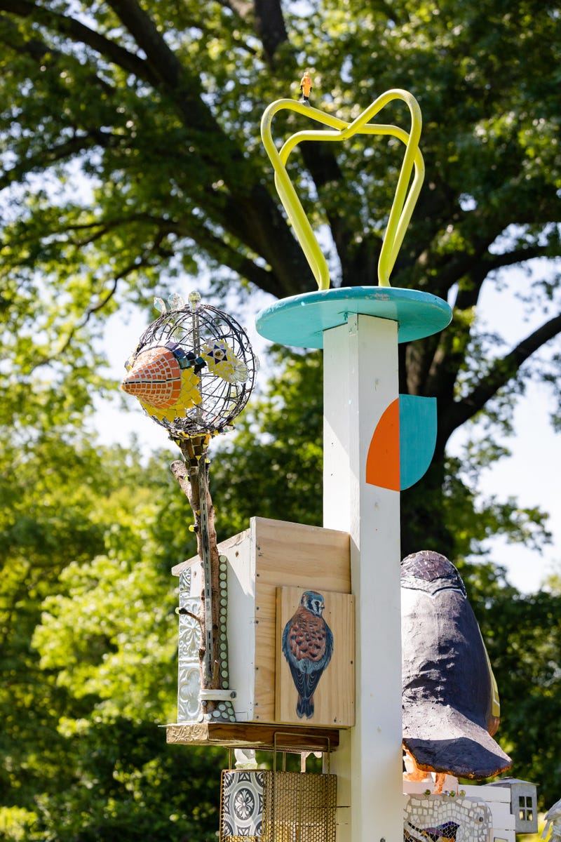 Julie Peppito's 'United Birds of America'