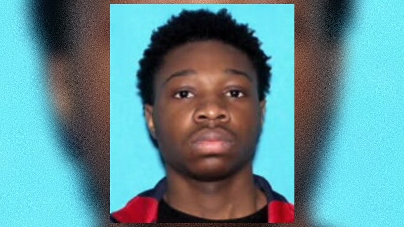 Suspect in hit-and-run that killed 6-year-old girl surrenders to Dearborn police
