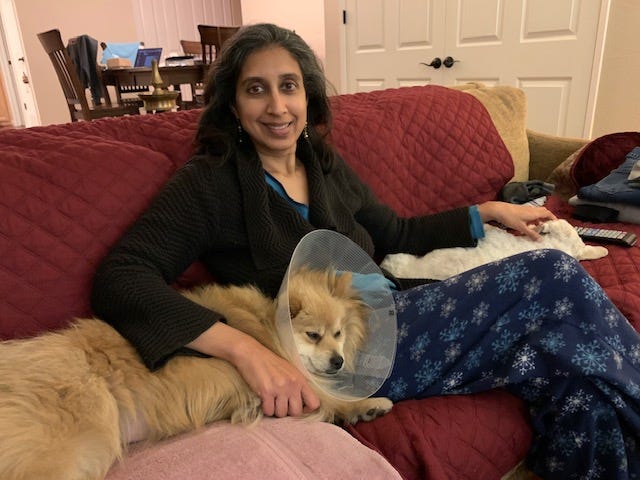 Jyothi Sampat sits on the couch with a dog. The East Bay woman has taken in countless foster pets since the pandemic began.