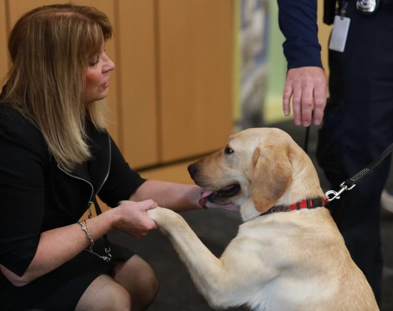 K-9 Cricket shaking hands