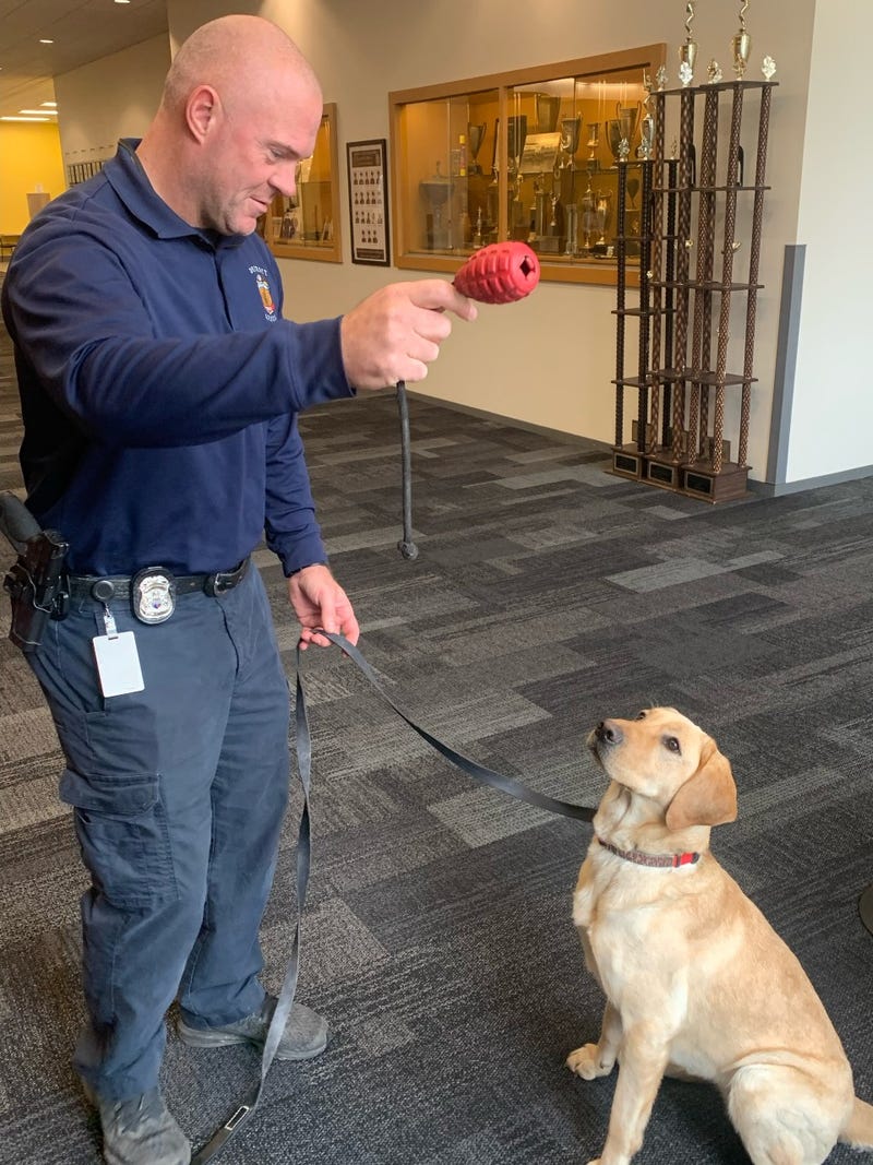 K-9 Cricket and her handler