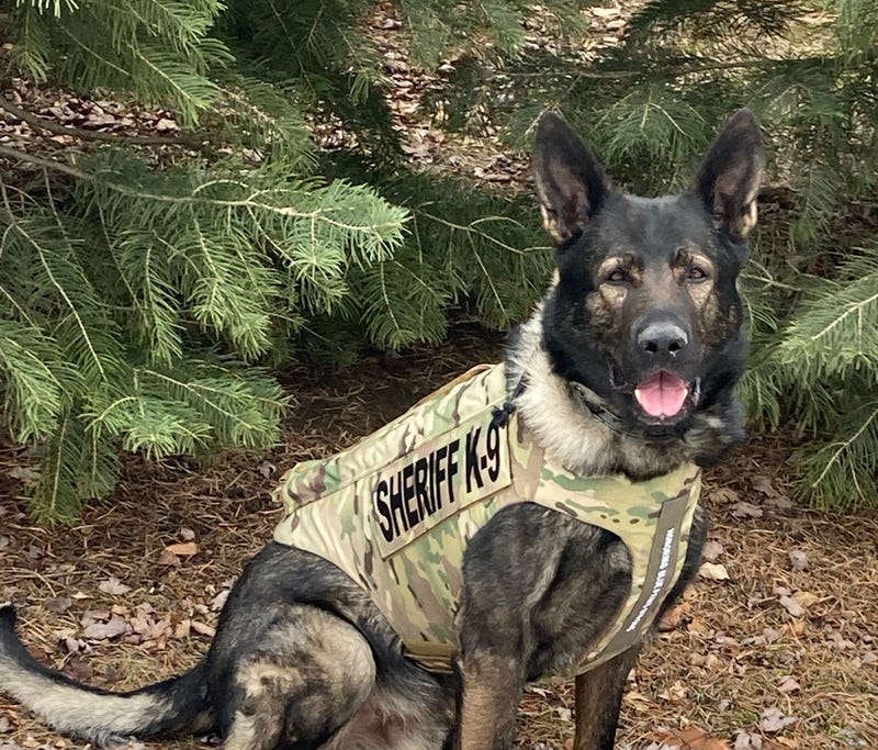 K-9 Dax