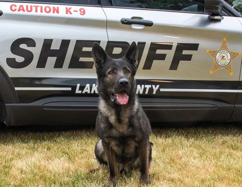 Lake County Sheriff's K9 Dax in front of a sheriff's SUV.