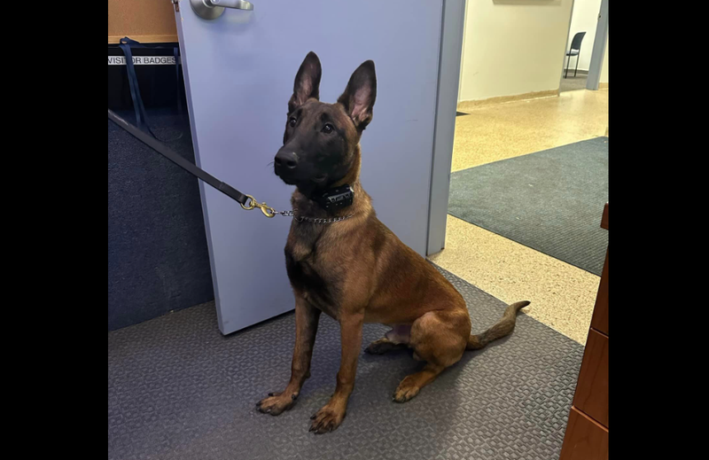 North Huntingdon Police dog Johnny